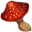 Plántula de Hongo